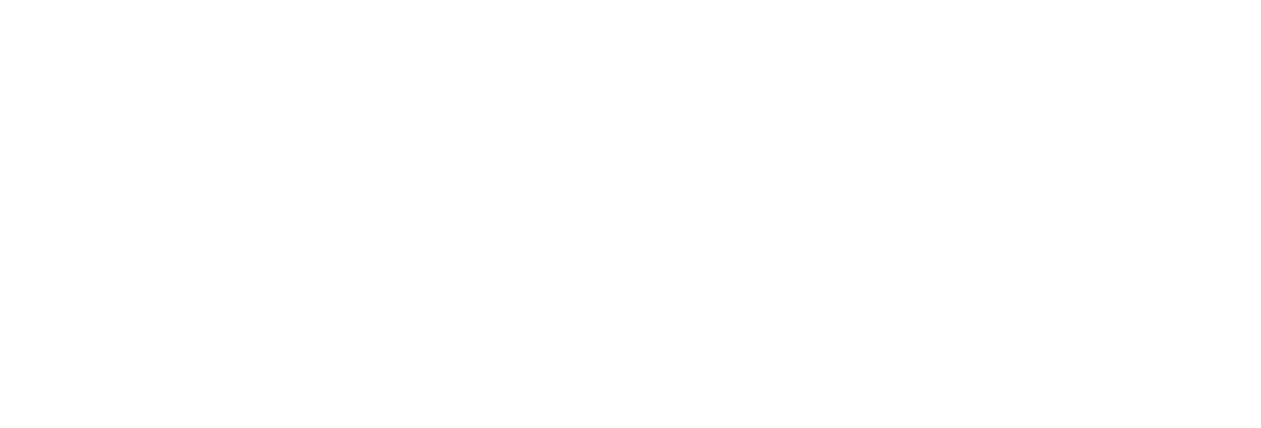 The Americas Financial Group